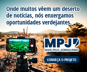 /apidata/imgcache/676934f3b347bb11ac29e12aa7bbf424.jpeg?banner=col4&when=1765169551&who=23