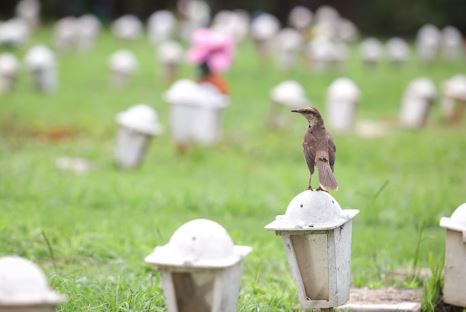 Corpo desaparece de sepultura em São Gonçalo e polícia investiga possível negligência